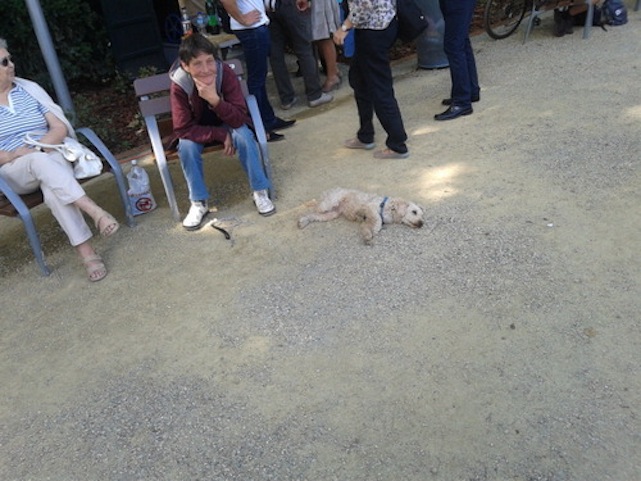 Illustration for article titled Orbán kimondta: “marhalepény” és máris megnyílt a szökőkút