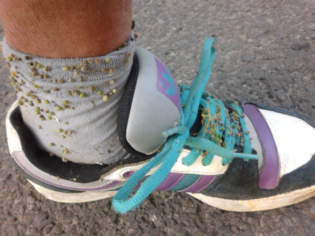 Illustration for article titled A Cink Nyári Ródsó ezúttal tőlem jelentkezik