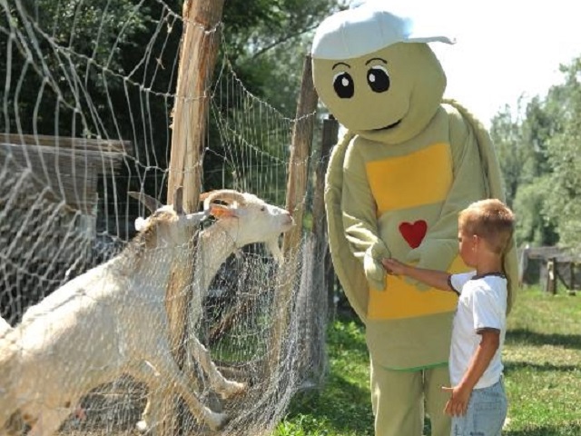 Illustration for article titled Ismeritek Bala Tonit? Los AnGyenes óta a legkeményebb cucc a Balatonon