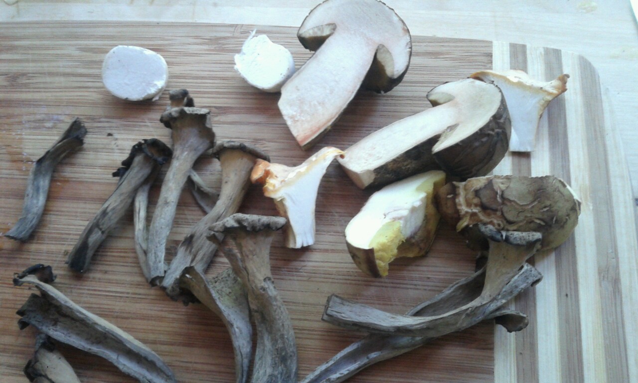 Illustration for article titled “Én megpróbálom meztelenül” - részeg Cink-ródsó percről percre