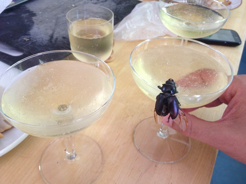 Illustration for article titled “Én megpróbálom meztelenül” - részeg Cink-ródsó percről percre