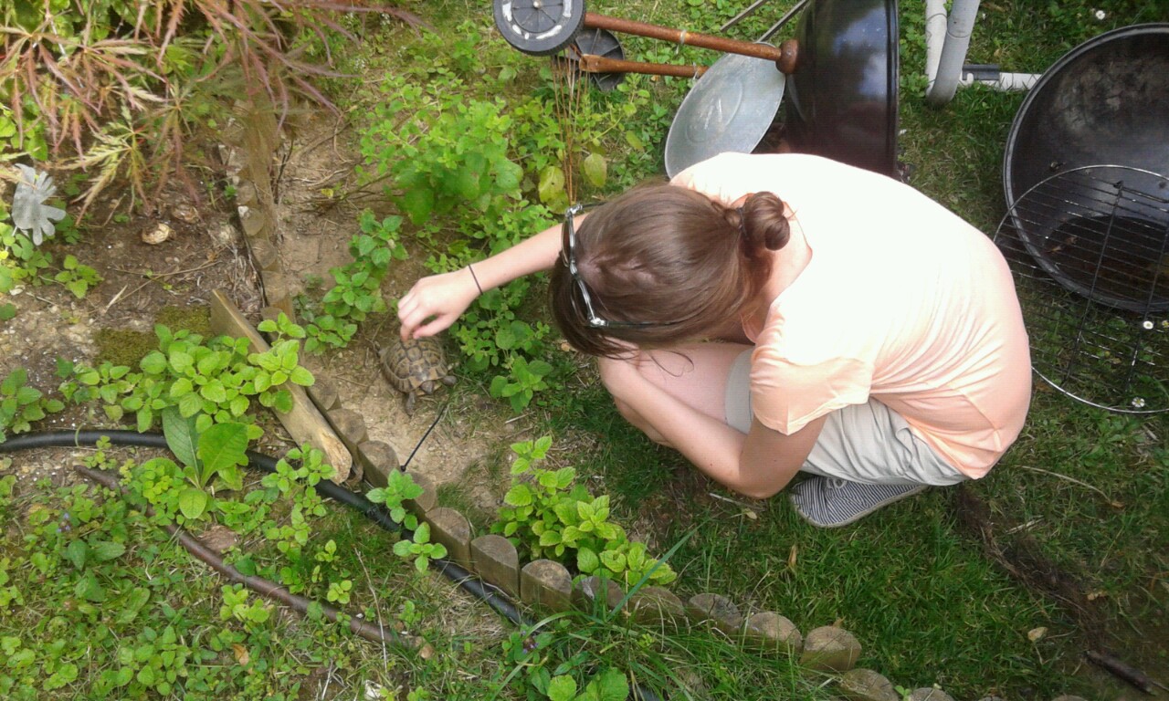 Illustration for article titled “Én megpróbálom meztelenül” - részeg Cink-ródsó percről percre