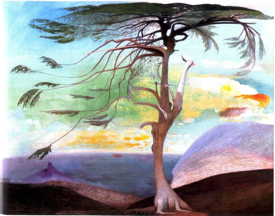 Illustration for article titled Elhagyott telken áll egy libanoni cédrus a Hűvösvölgyben