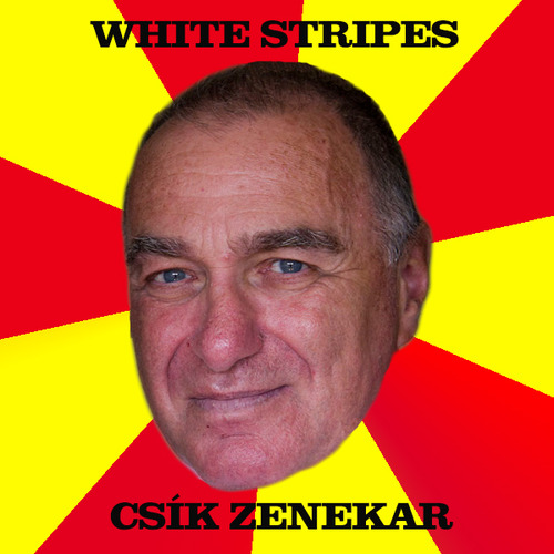 Illustration for article titled Tótisz András: az első magyar mém, aki meghalt