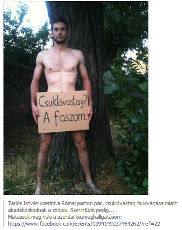 "Csuklóvastag? A faszom" - üzenik Tarlós Pinokkiónak a Római partot védő zöldek