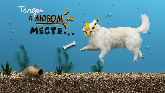 Hogyan lehet meganimálni egy, sőt két élő kutyát?