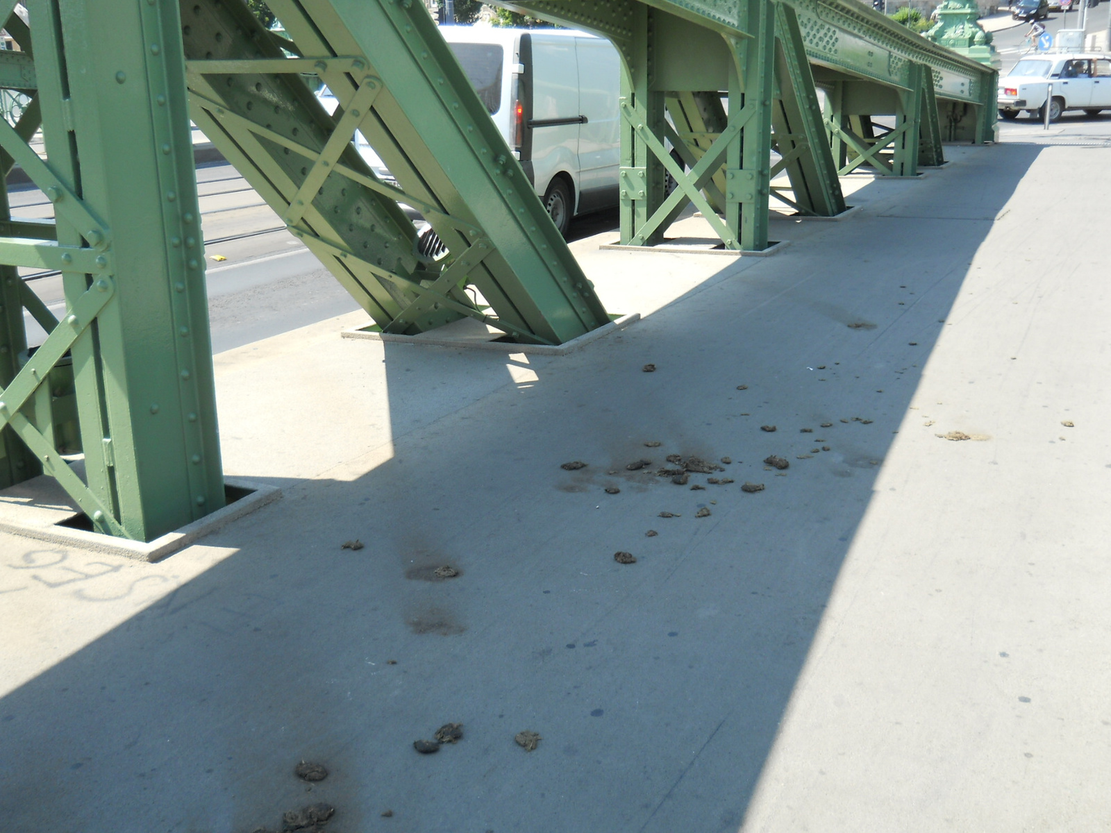 Illustration for article titled Ki szaratja a lovát a Szabadság híd járdájára?