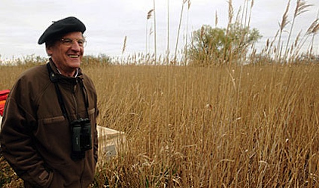 Nem lesz állami pénz a Sólyom légitársaságban, volt NBH-s viszont igen