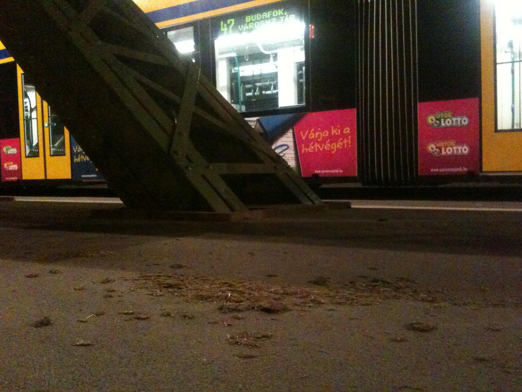 Illustration for article titled Lószar után Combinók a Szabadság hídon