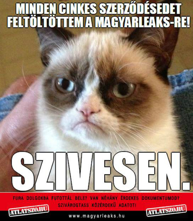 Baj van a cinkes szerződésekkel, lecsap az Átlátszó!