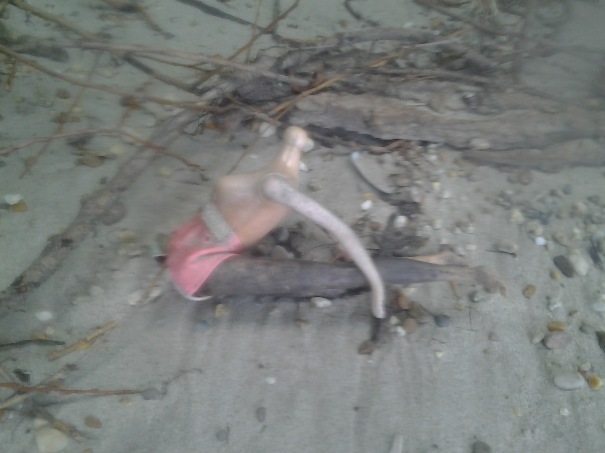 Illustration for article titled Aranyat mostunk a Dunán. Találtunk is, elmesélem, hogyan csináltuk