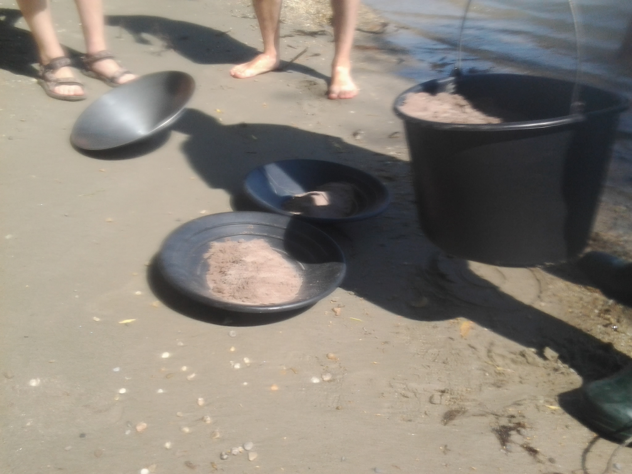 Illustration for article titled Aranyat mostunk a Dunán. Találtunk is, elmesélem, hogyan csináltuk