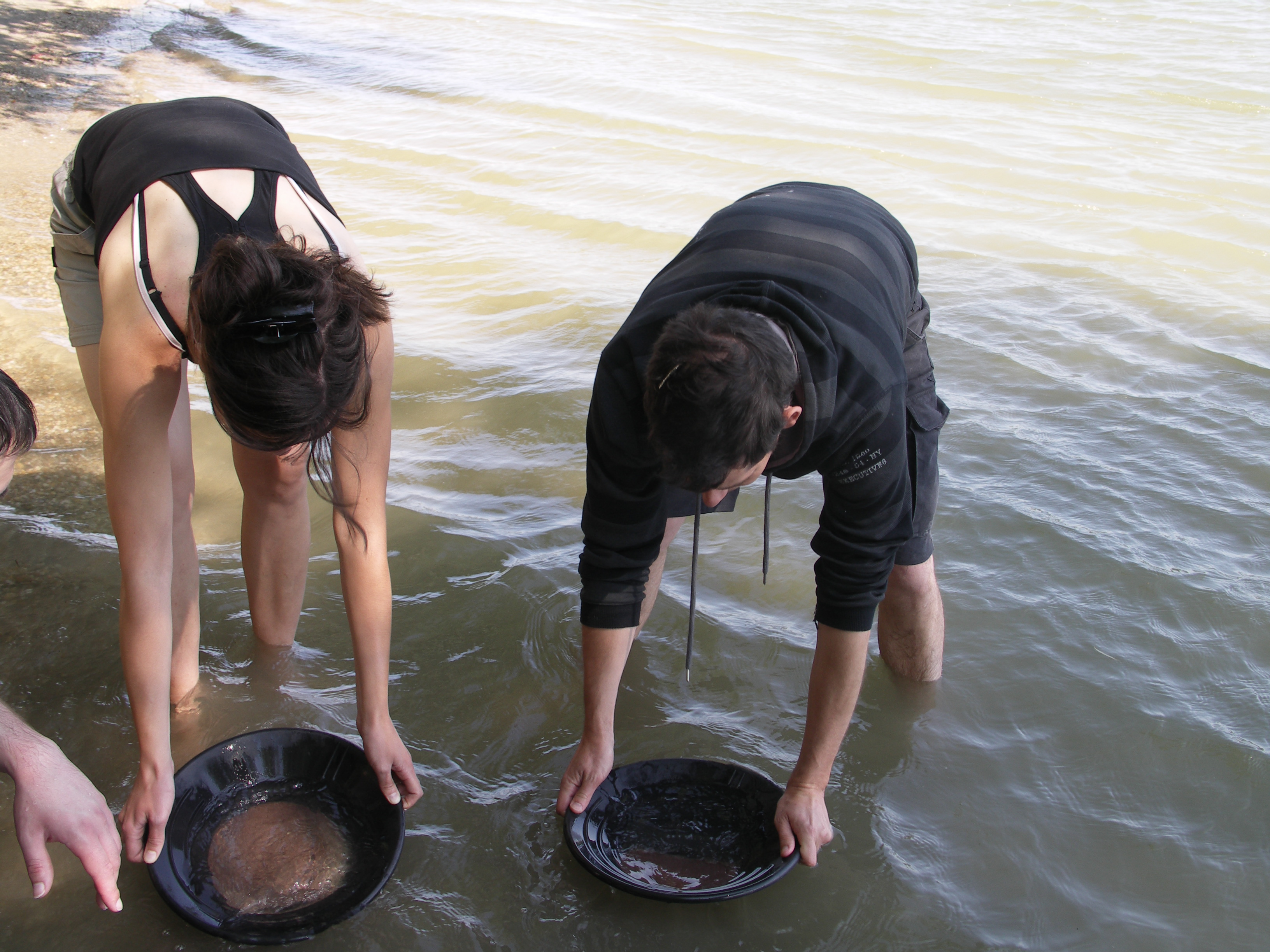 Illustration for article titled Aranyat mostunk a Dunán. Találtunk is, elmesélem, hogyan csináltuk