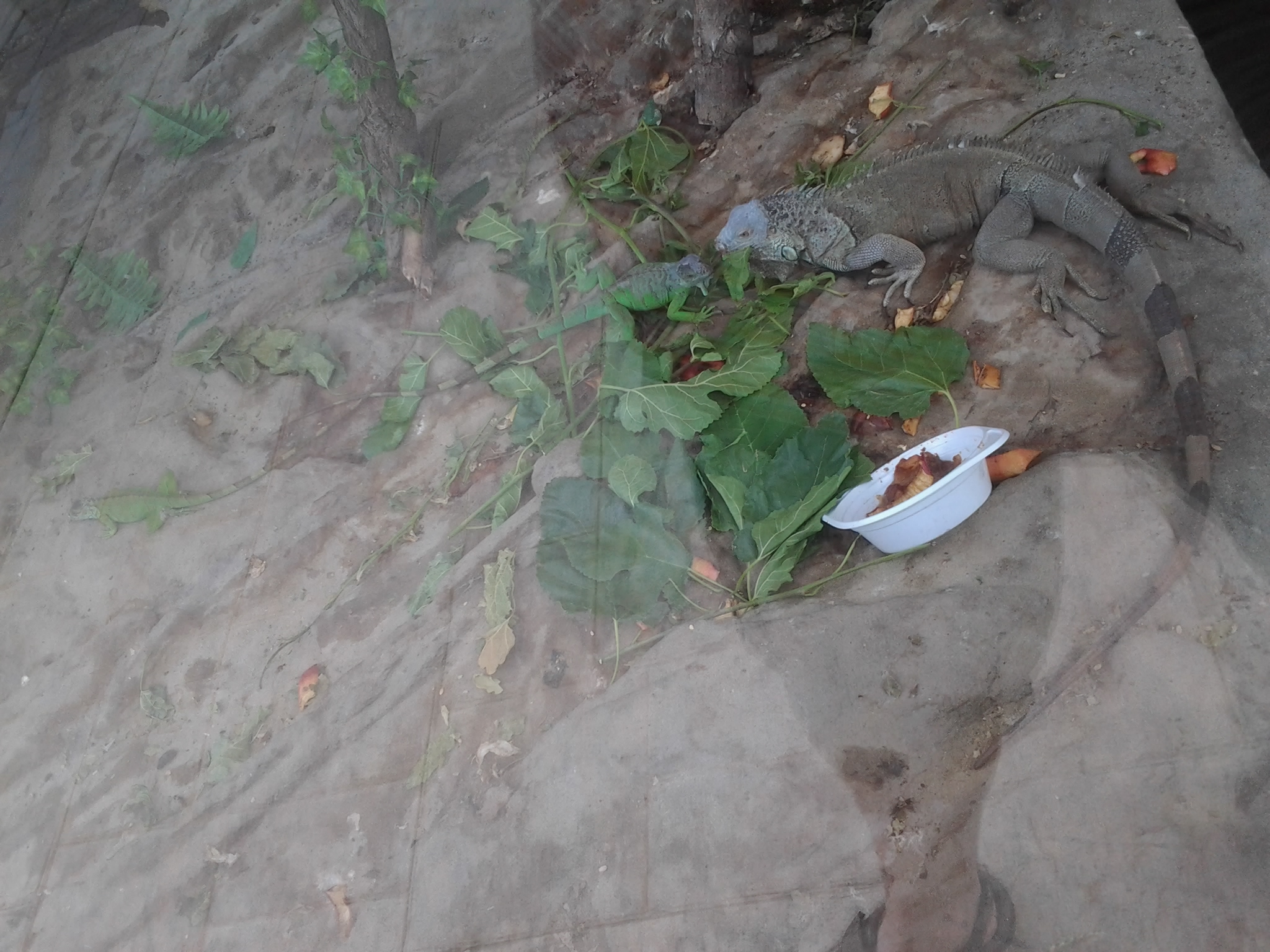 Illustration for article titled Miért tart emÓRIÁSHÜLLŐKET/em a Budapest Gyógyfürdői és Hévízei Zrt?