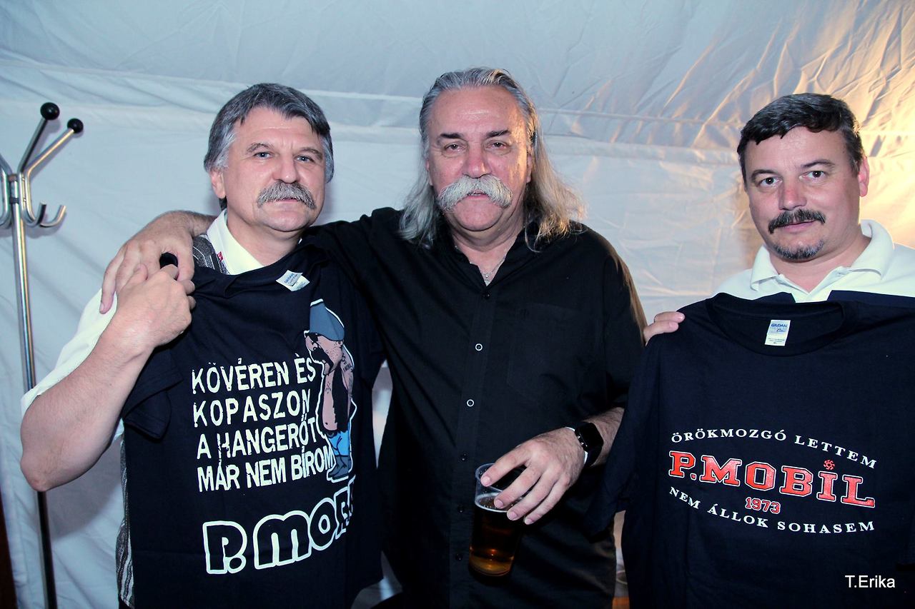 A nap képe: Kövéren és kopaszon