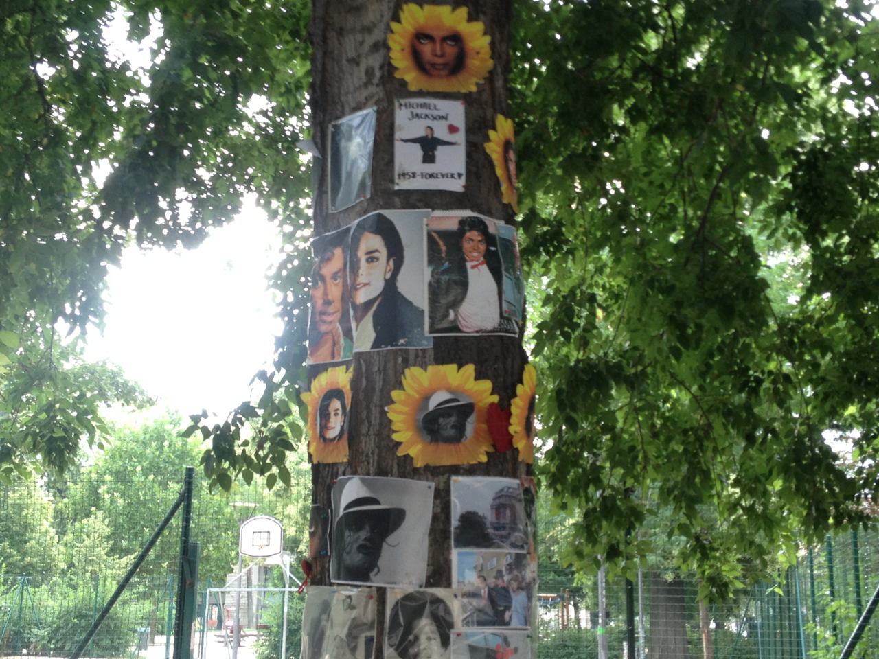 A nap fája: a Michael Jackson fa