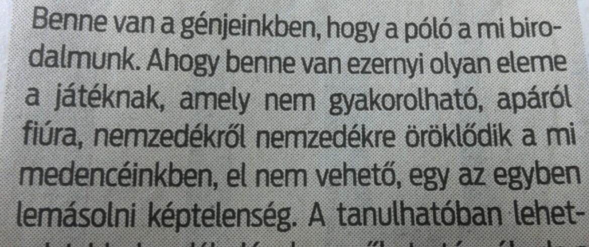 Gusztustalan genetika: a magyar vízipóló a medencében öröklődik, mint valami lábgomba?