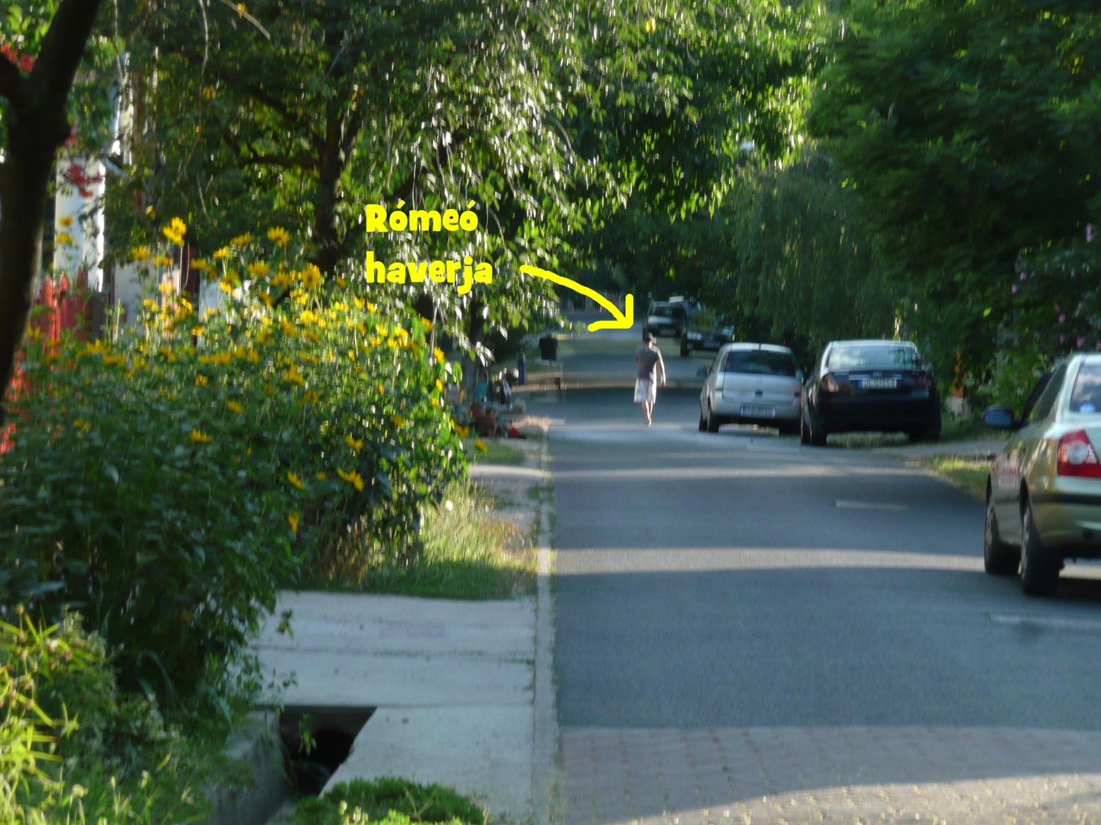 Illustration for article titled Lomtalanítás kvíz