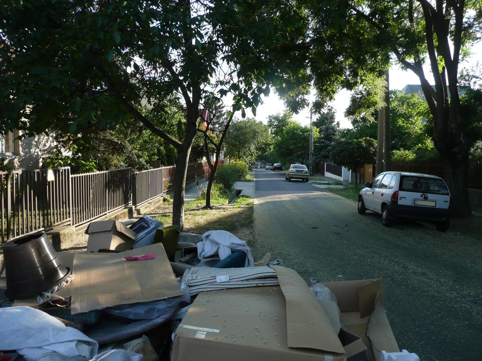 Lomtalanítás kvíz