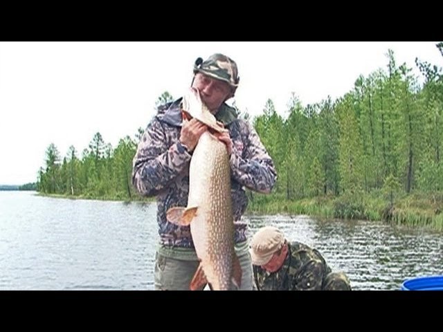 Mekkorát hazudott Putyin a csukájáról?