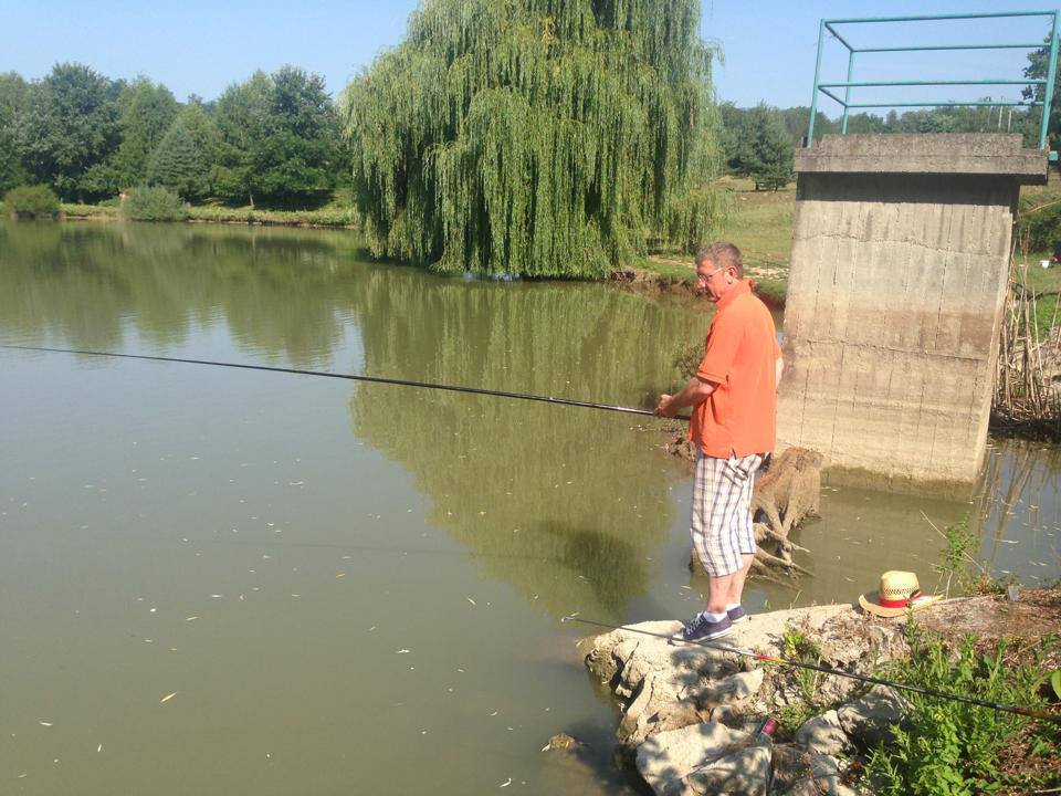 Gyurcsány Ferenc bejelentkezett a köztársasági elnökségre