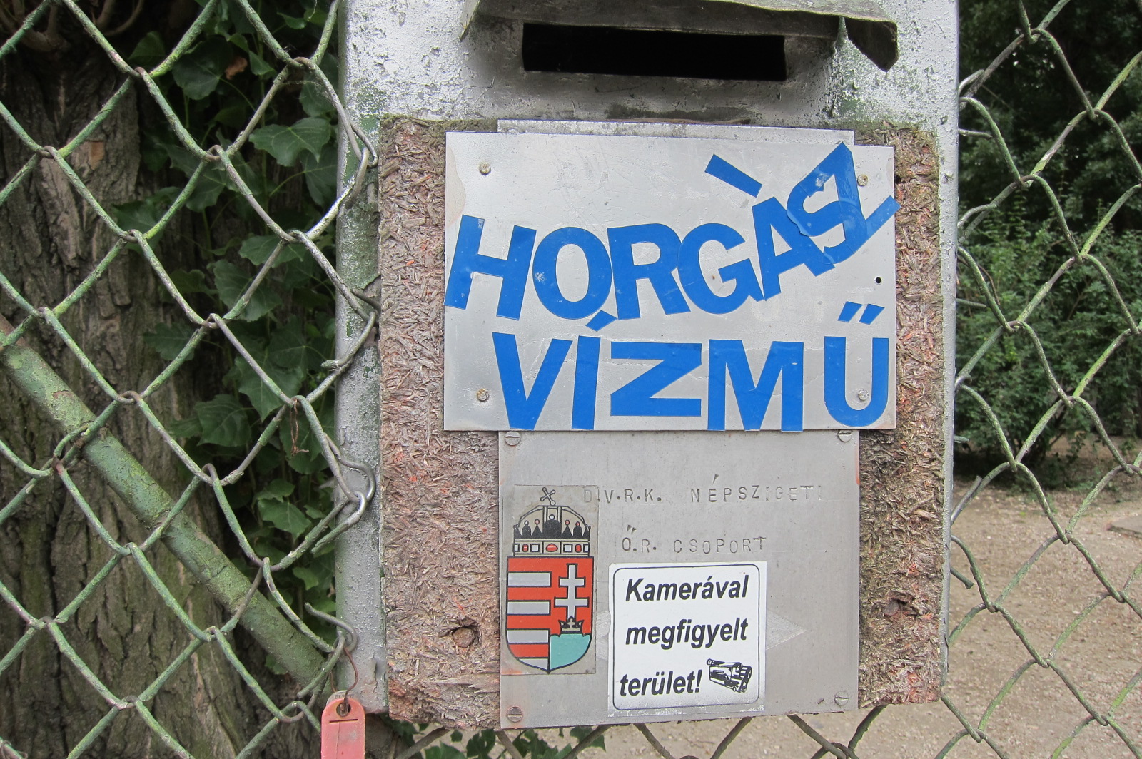 Illustration for article titled Kivágták a fákat a népszigeti Kecskés Embernél