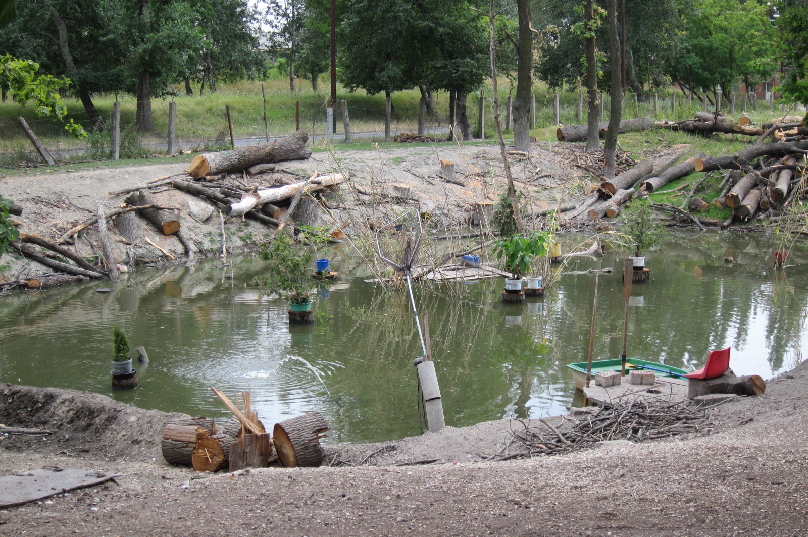 Illustration for article titled Kivágták a fákat a népszigeti Kecskés Embernél