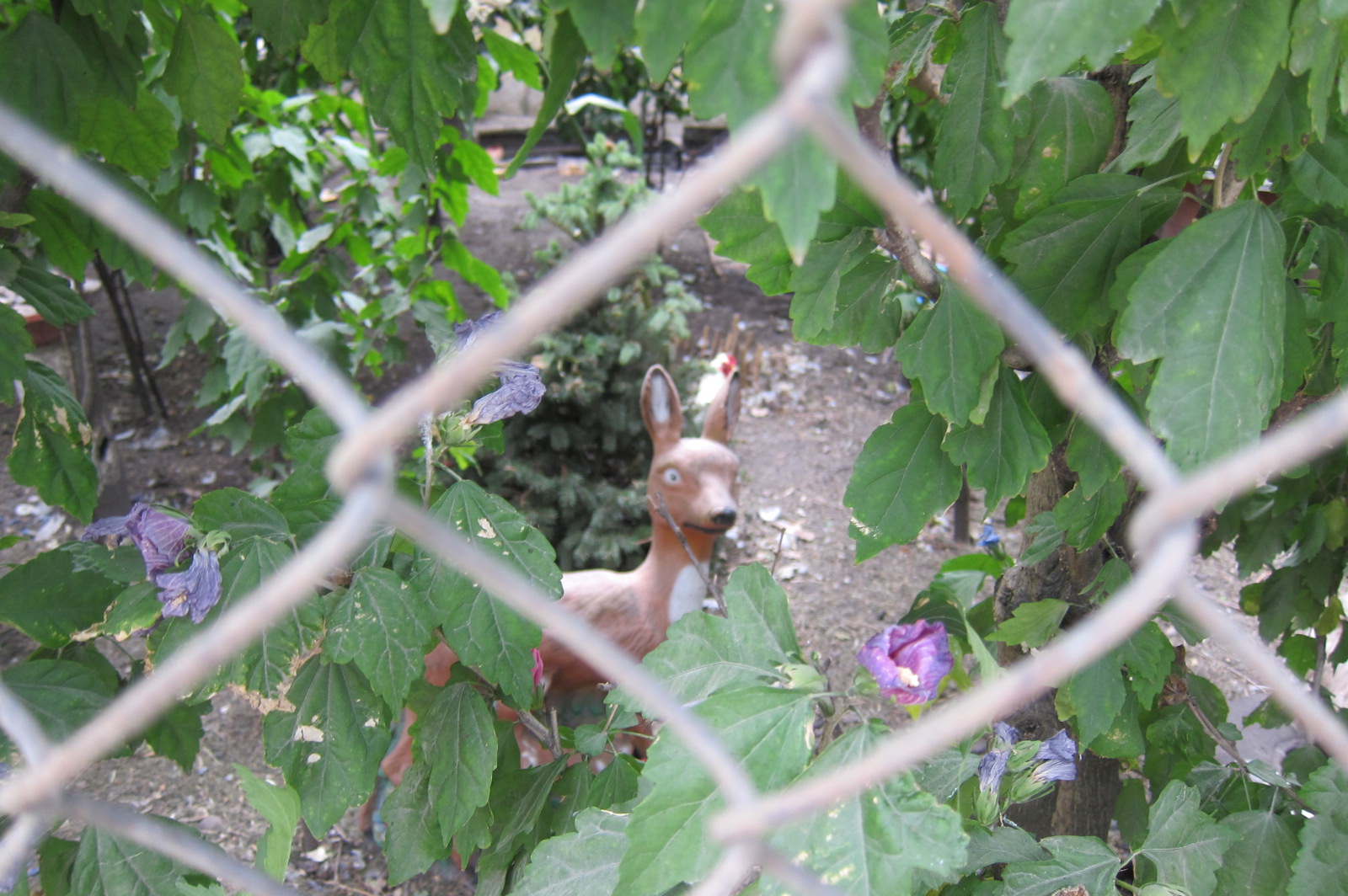 Illustration for article titled Kivágták a fákat a népszigeti Kecskés Embernél