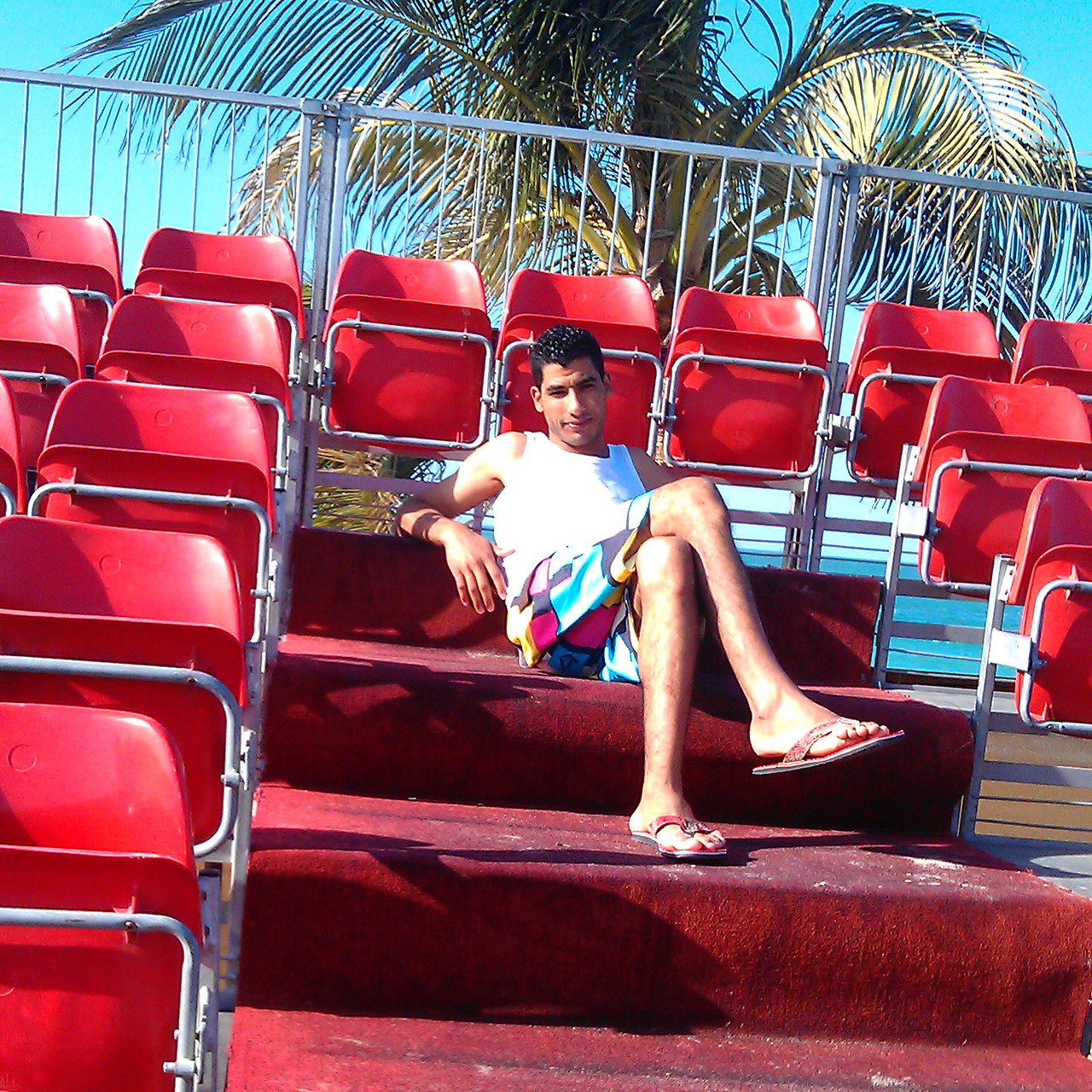 Illustration for article titled Kukkants bele egy telefontolvaj életébe!