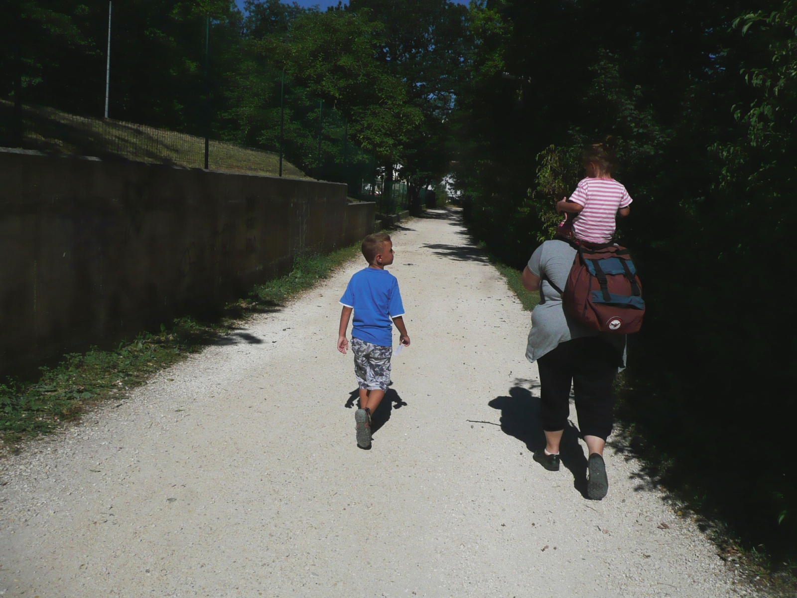 Illustration for article titled A bivalyok punkok és hugyoznak a médiára