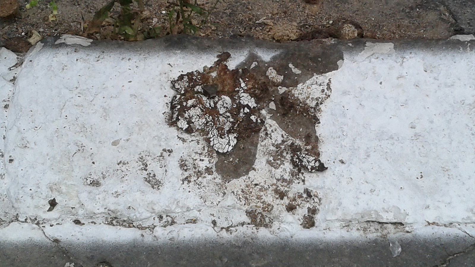 Lefestették a kutyaszart is az Auróra utcában