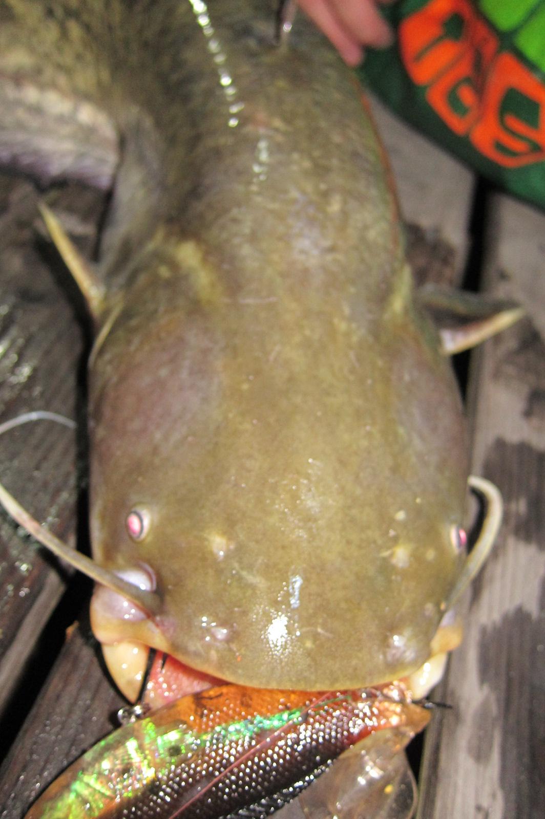 Illustration for article titled Miért érdemes otthonról dolgozni?