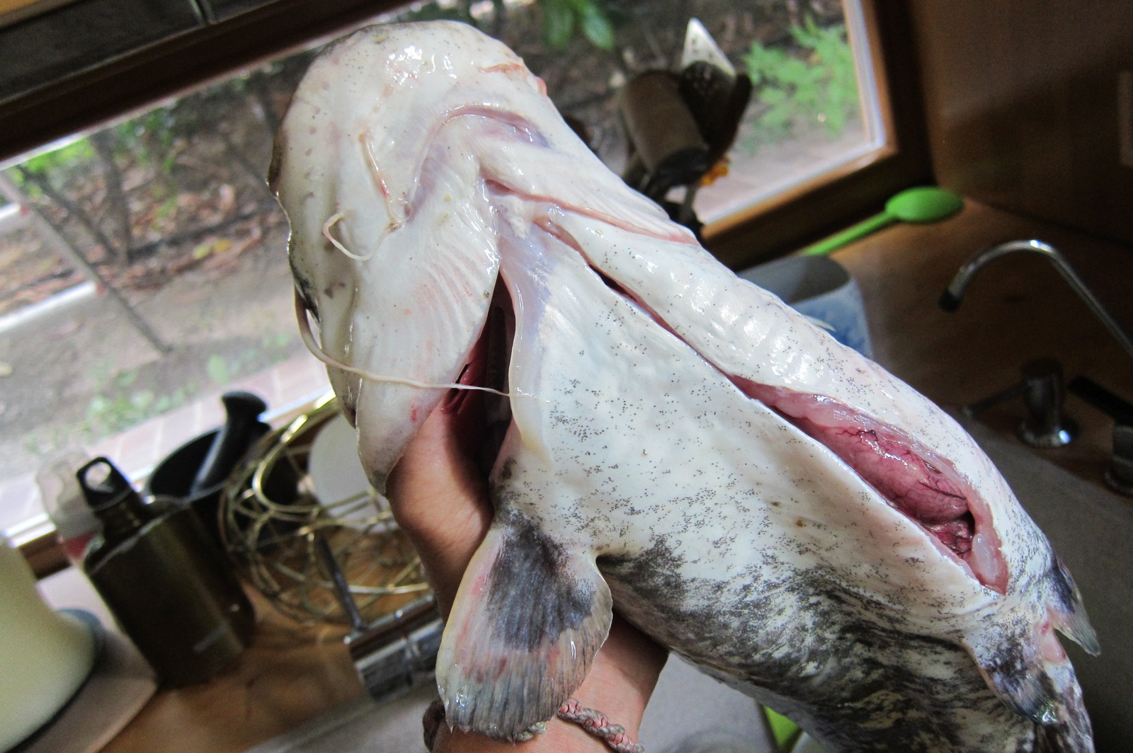 Illustration for article titled Miért érdemes otthonról dolgozni?