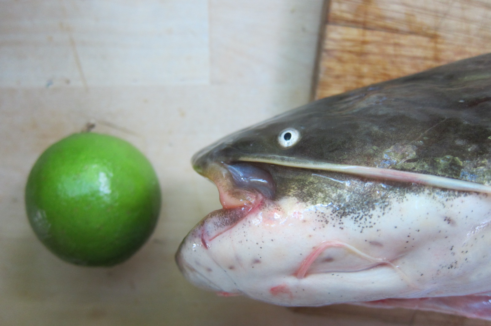 Miért érdemes otthonról dolgozni?