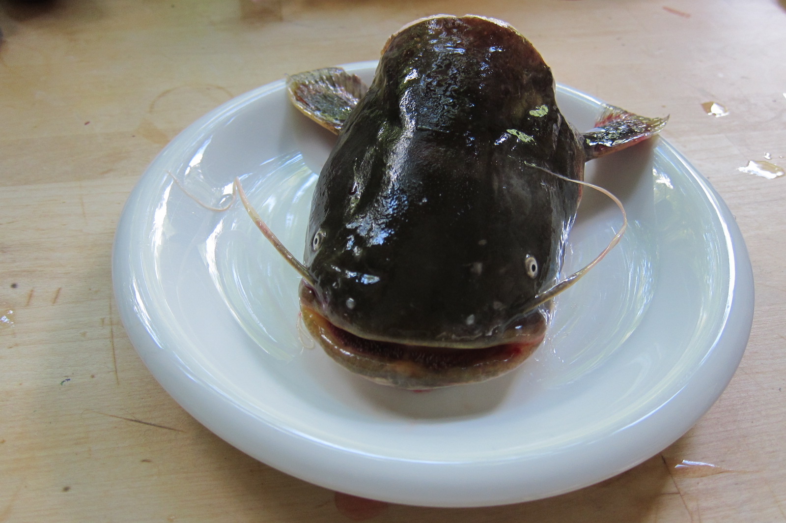 Illustration for article titled Miért érdemes otthonról dolgozni?