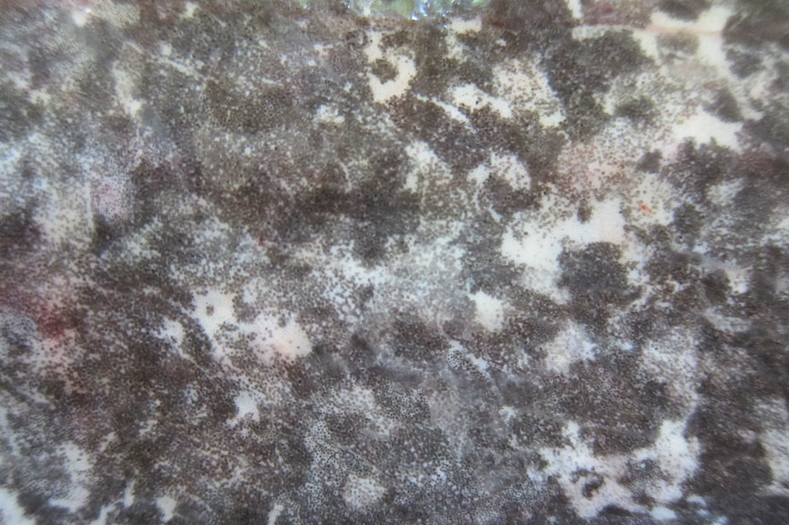 Illustration for article titled Miért érdemes otthonról dolgozni?