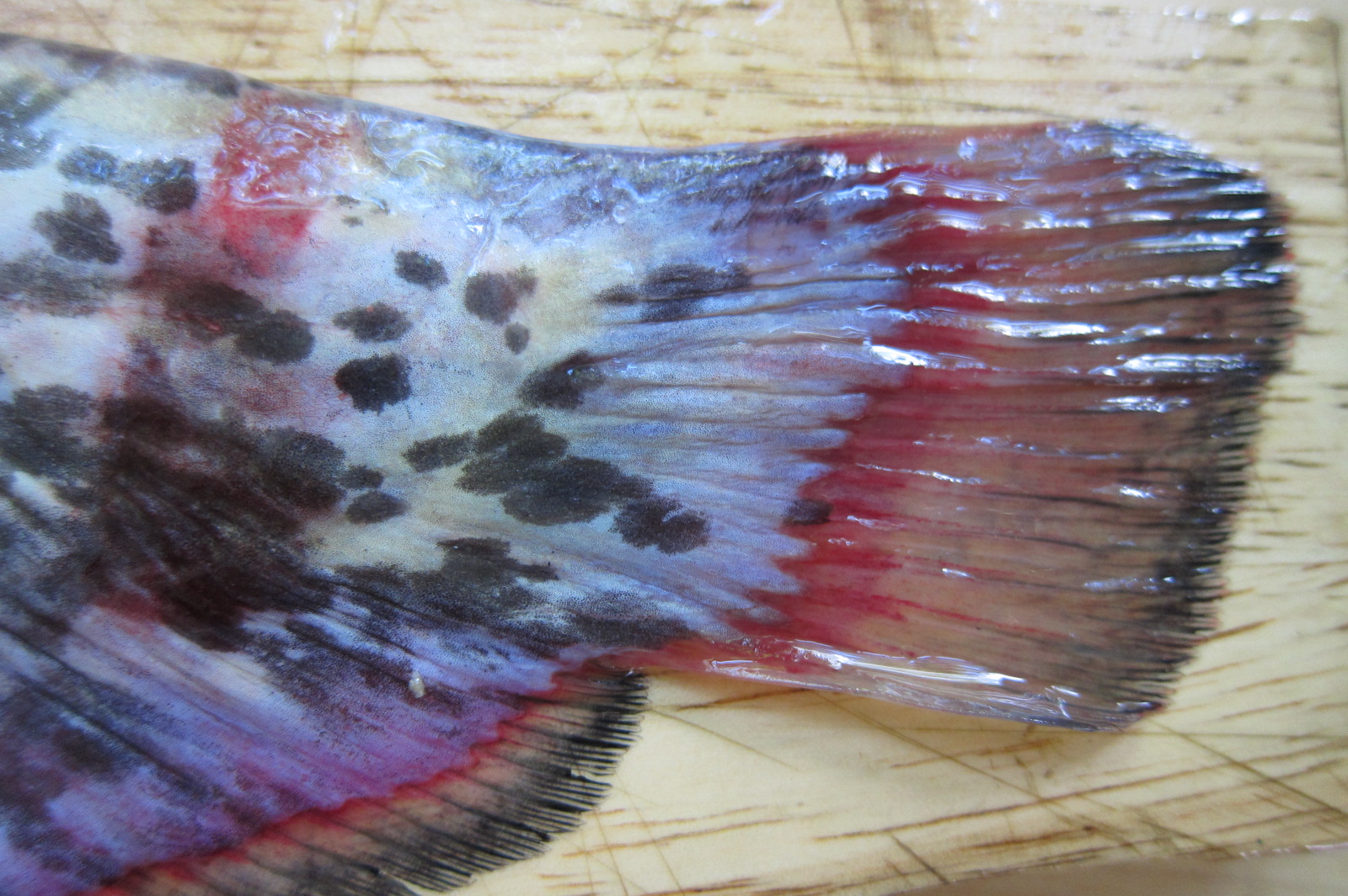 Illustration for article titled Miért érdemes otthonról dolgozni?