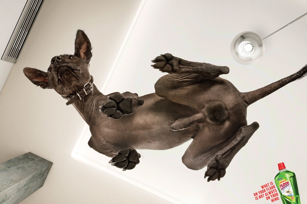 Méretes kutyapöccsel reklámozzák a tisztítószert. Szerintetek?