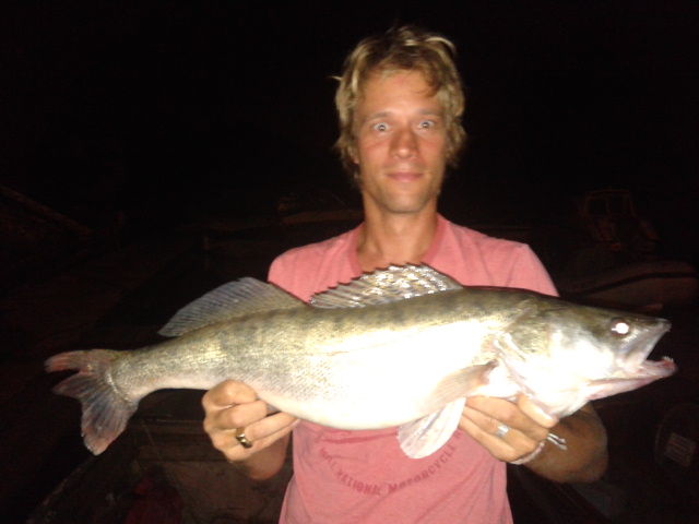 A rovarinvázió óriáshal-inváziót hozott a Dunán