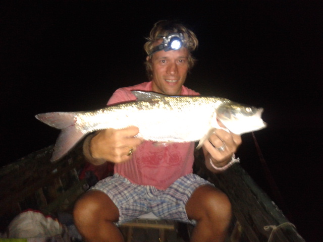 Illustration for article titled A rovarinvázió óriáshal-inváziót hozott a Dunán