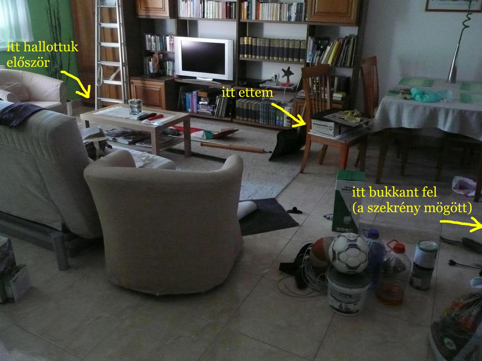 Illustration for article titled Így vált belőlem vérengző vadállat