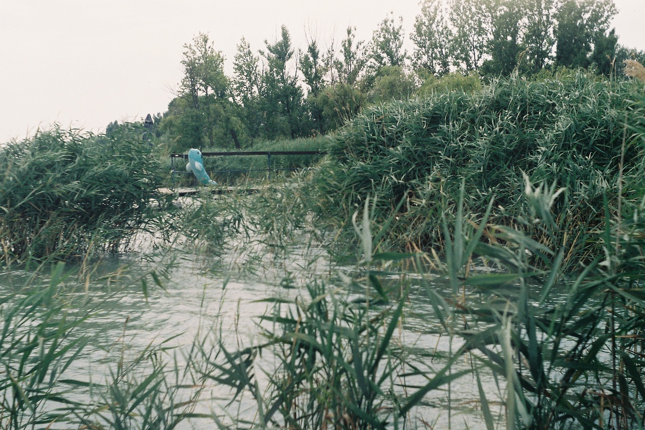 Illustration for article titled Nem fogod kitalálni, melyik évtizedben készültek ezek a balatoni képek