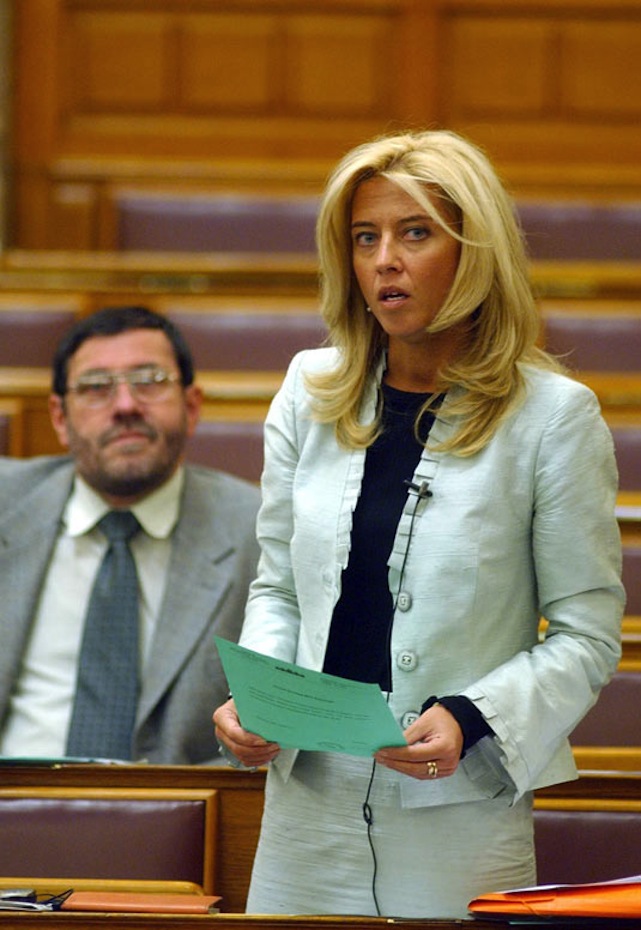 Hat éve tartozik az adóhivatalnak Selmeczi Gabriella