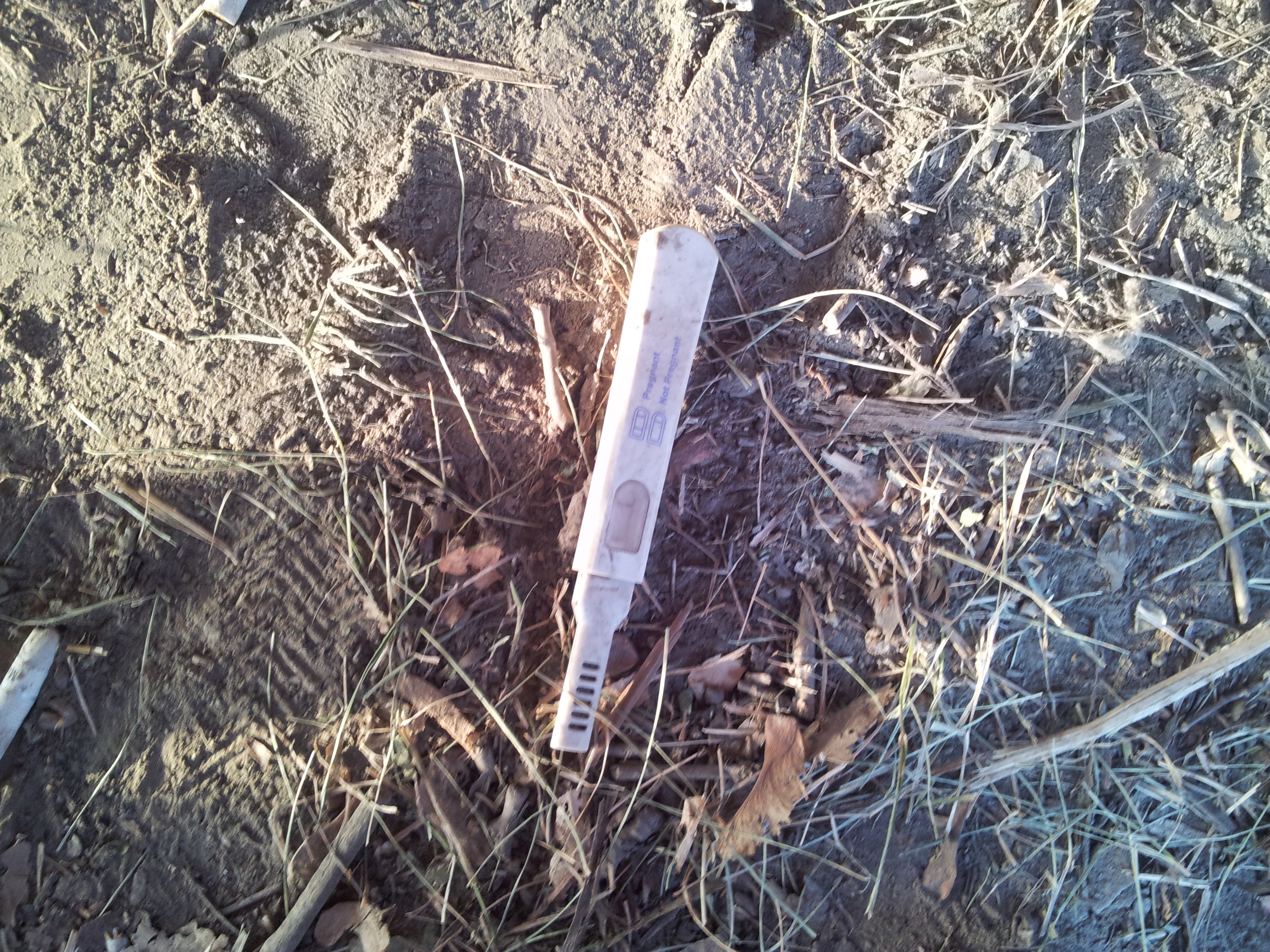 2013 óvszere a terhességi teszt