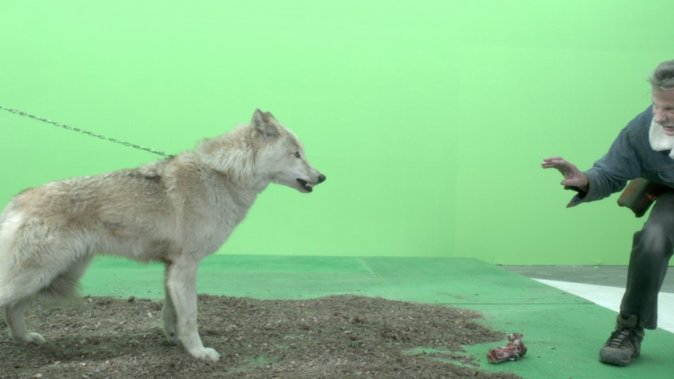 Ezek voltak a nagy trükkök az idei Trónok harcában