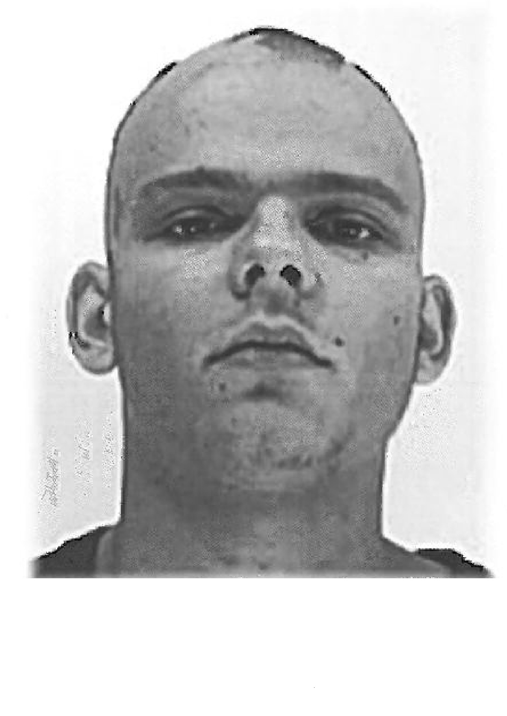 Illustration for article titled Mekis lövöldözés miatt a rendőrség keresi Somogyi Ábelt