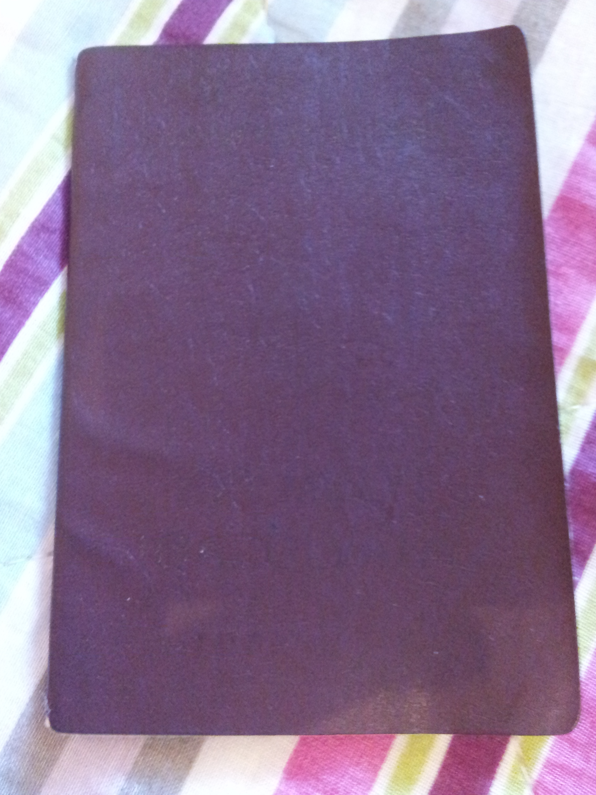 Illustration for article titled Ezzel a húszéves személyi igazolvánnyal ijesztgetem Európa határőreit