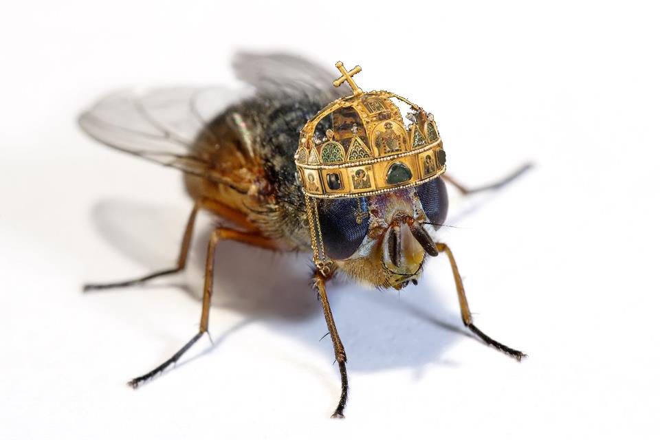 Országunk királya légy! Ez lesz ma a legjobb ünnepi program