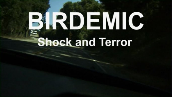 Zombigalambok terrorizálják Moszkva lakosságát!