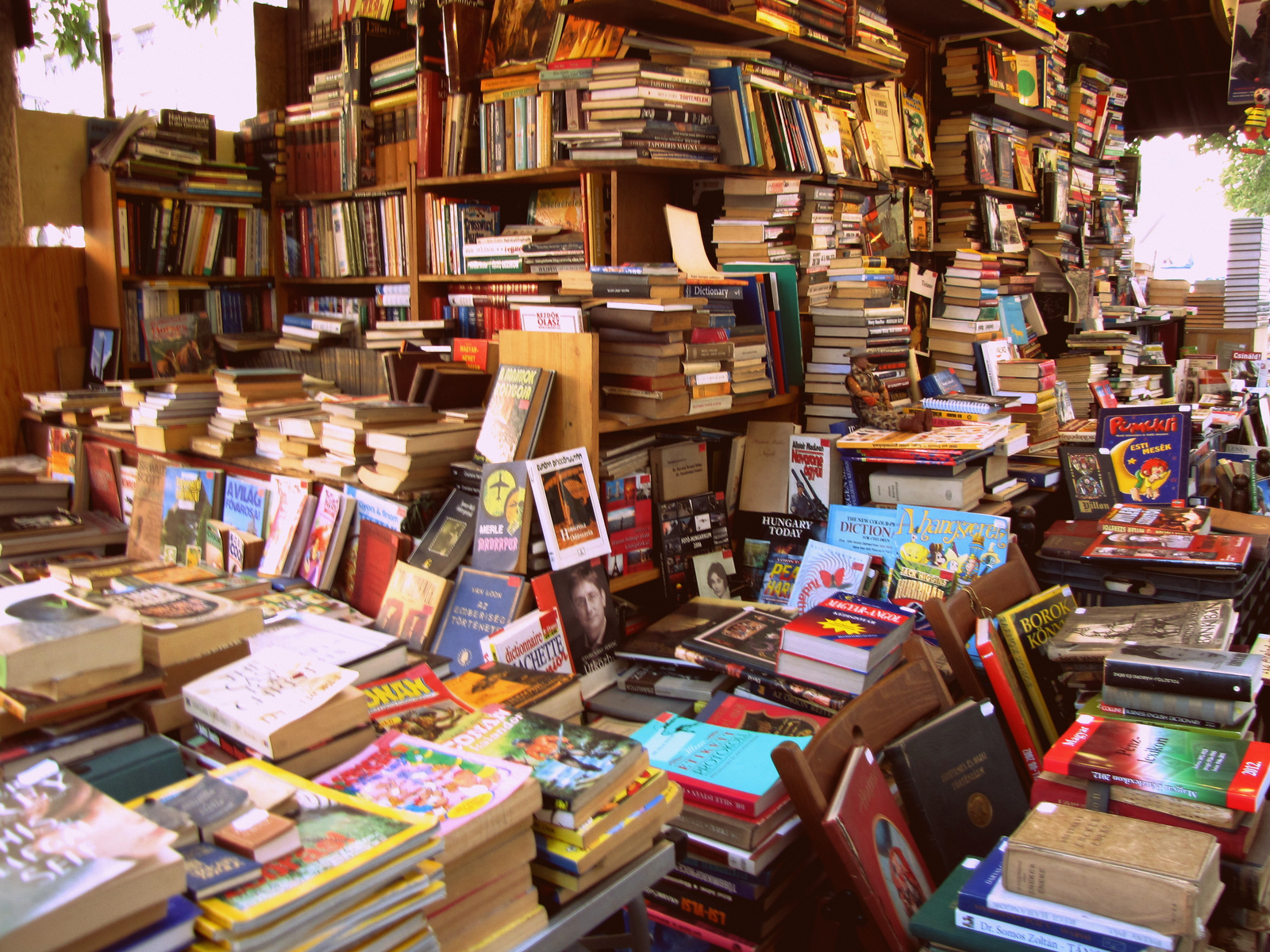 A Cink kérdez: mi legyen kötelező olvasmány az iskolában?